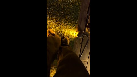 Magical Night Lights: Stunning Views of a Beautiful Country 🌃✨