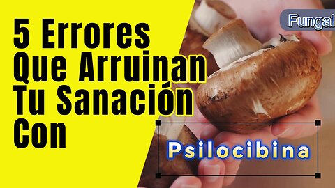 Si cometes alguno de estos 5 errores arruinaras tu sanación con Psilocibina