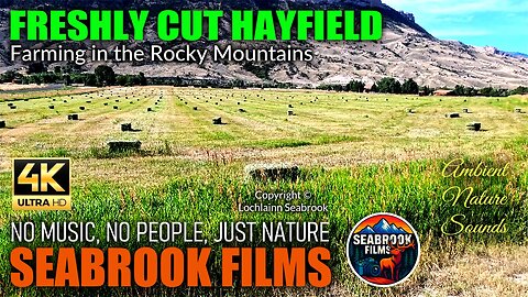 Freshly Cut Hayfield: Farming in the Rocky Mountains