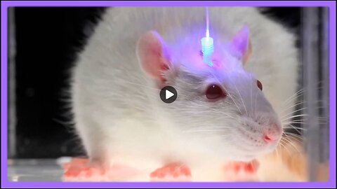 Chemicals Reese Report