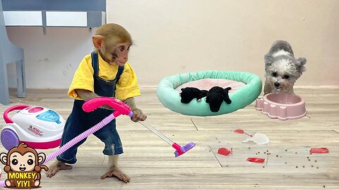 Super smart! Nanny YiYi cleans the room and takes care of the puppies