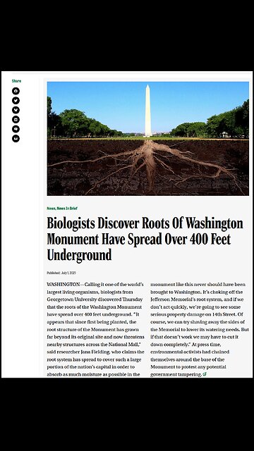 SECRET TREE INSIDE THE MASONIC WASHINGTON MONUMENT