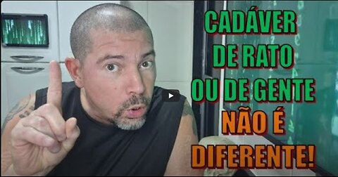O rato vive feliz, até cair na boca do gato!