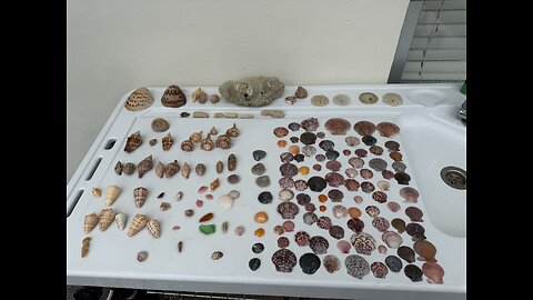 Beach Finds 9/16/2025 | 4K