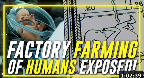 Leading Expert On Surrogate Births Exposes The Factory Farming Of Humans Which Is A $200 Billon Global Industry Driven By Pedophiles!