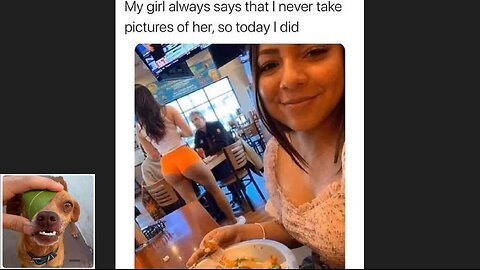 Memes That Will 99.0255% Make You Laugh. (e479)
