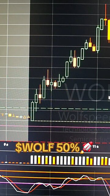 $WOLF 50%🚀