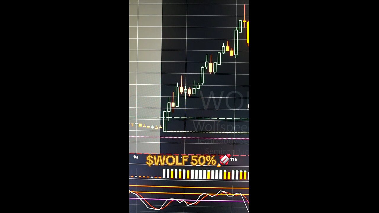 $WOLF 50%🚀