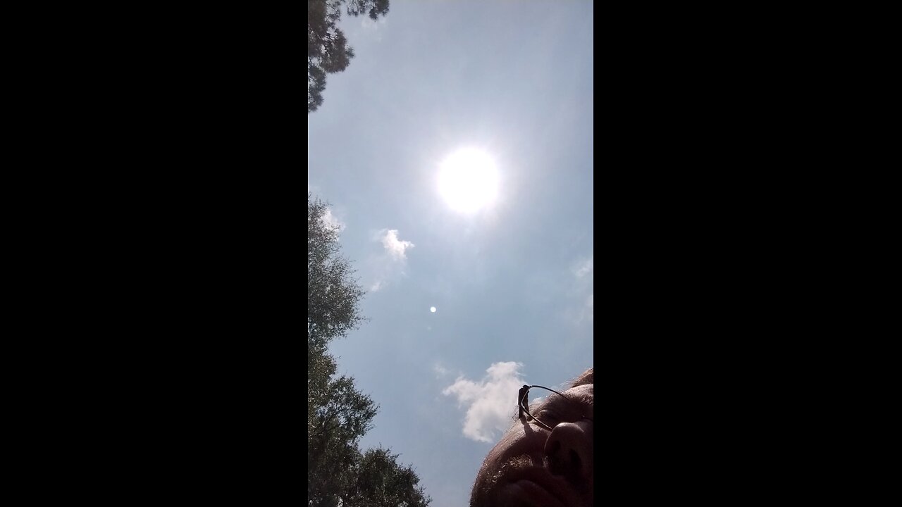 where are the videos?