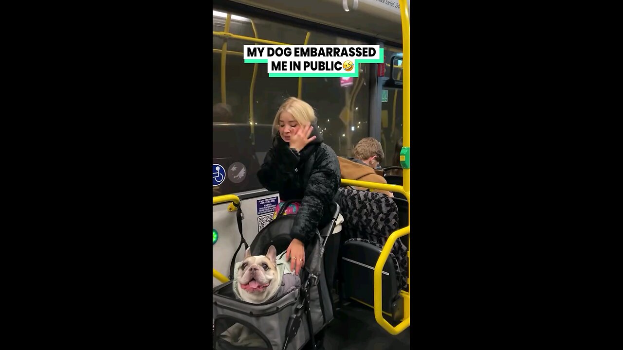 BOYYY can he TALK! 🗣️😅 @sunny_emilio on instagram #funnydog #funnydogs #funnydogvideos #dog #bark