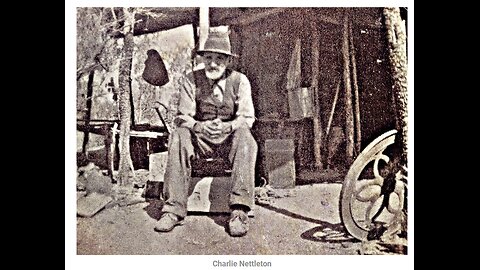 Whacky World Of The Wokieverse