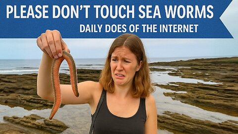 Please Don't Touch Sea Worms - Daily Does of The Internet
