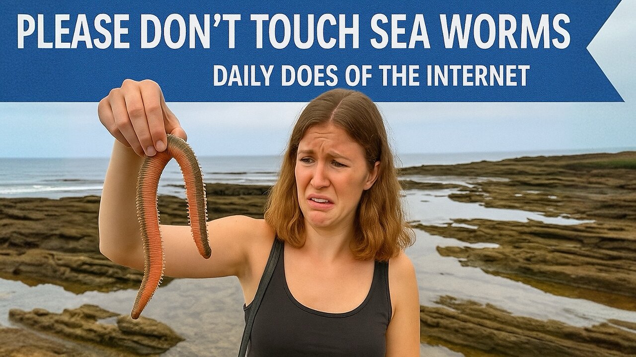 Please Don't Touch Sea Worms - Daily Does of The Internet