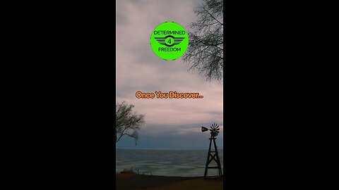 Once You Discover...