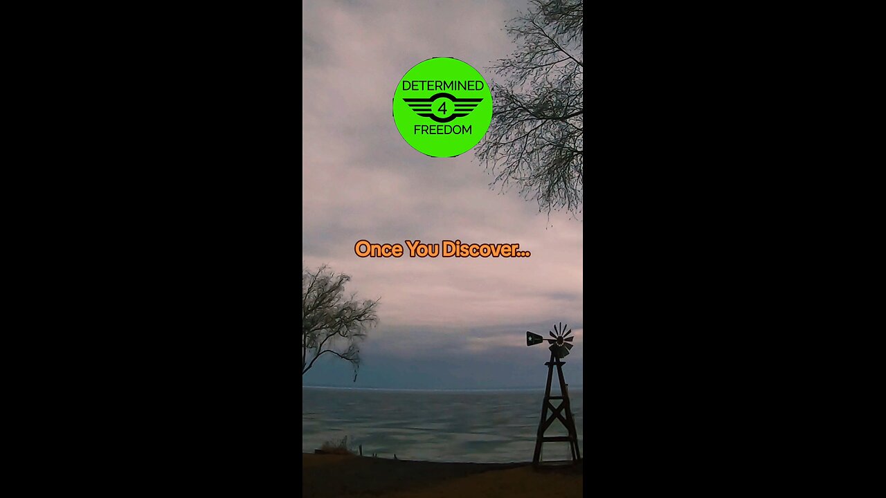 Once You Discover...