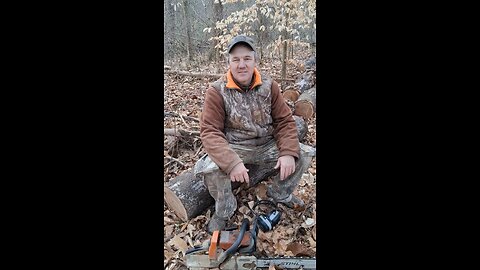 Cutting Red Oak firewood