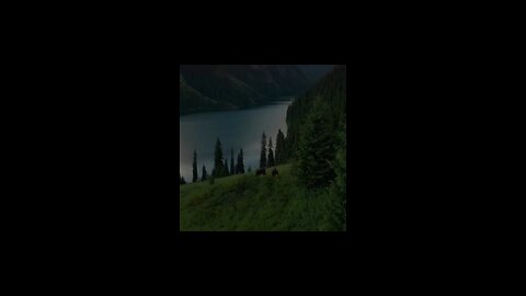 Beautiful recitation of Quran