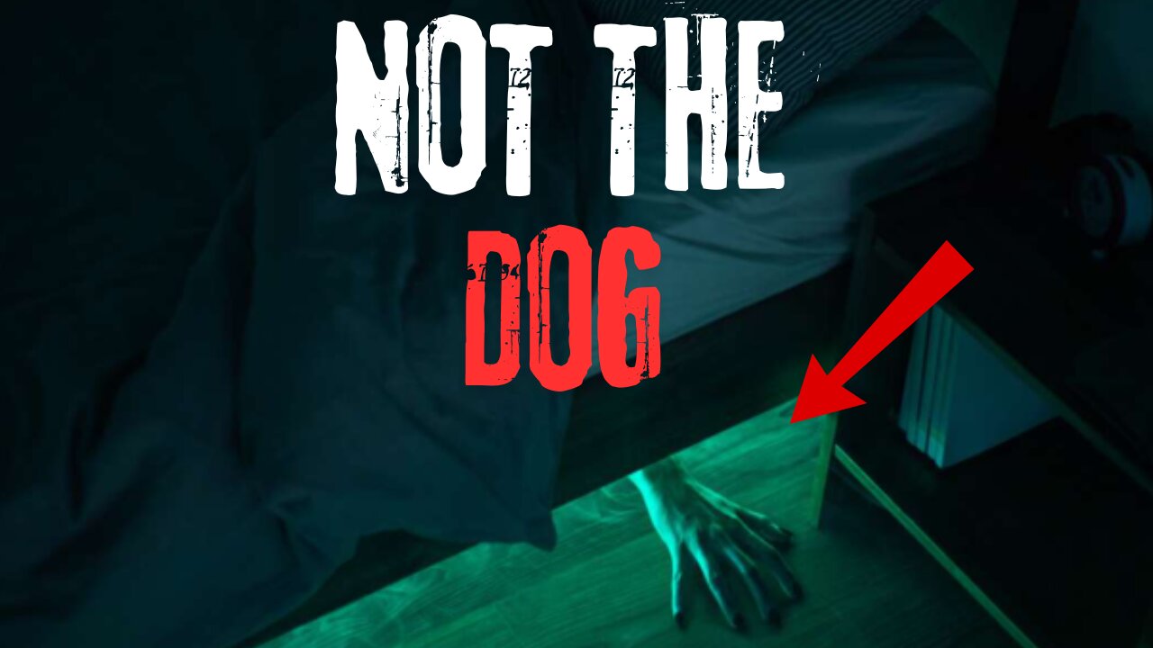 The Stranger That Was Hiding Under My Bed