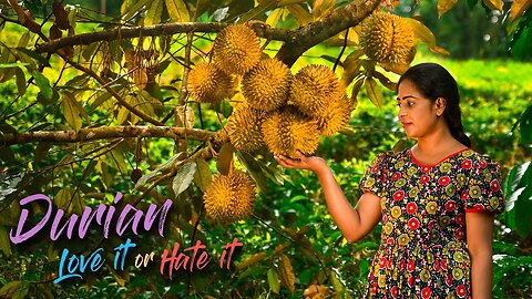 The cooking mission of making my Brother love "Durians" with Yummy Durian desserts | Traditional Me