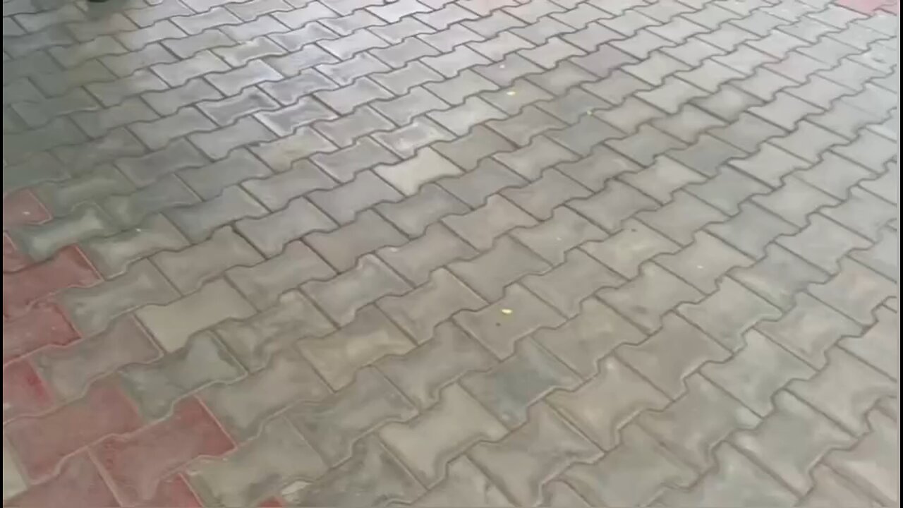 indian police