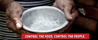 The End of Real Food & the Rise of Total Control