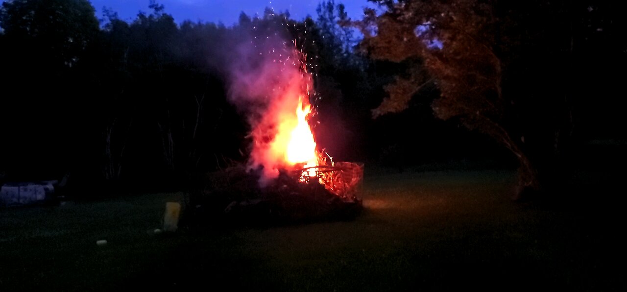 Burning downed trees 🌳