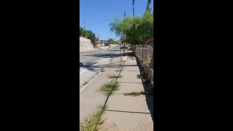 Daily Walk