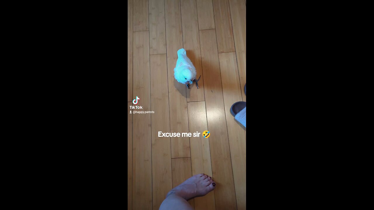 Excuse Me Sir