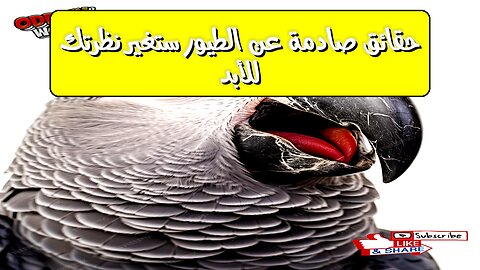 حقائق صادمة عن الطيور ستغير نظرتك للأبد!