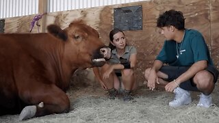 Since She’s Brown Does She Make Chocolate Milk?