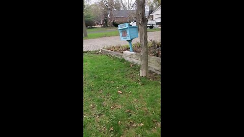 Mini Blue Free Library