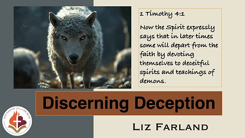 Discerning Deception - Liz Farland