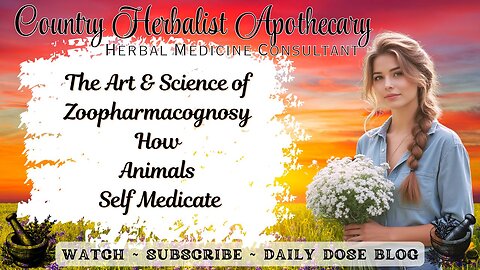 The Art and Science of Zoopharmacognosy: How Animals Self-Medicate