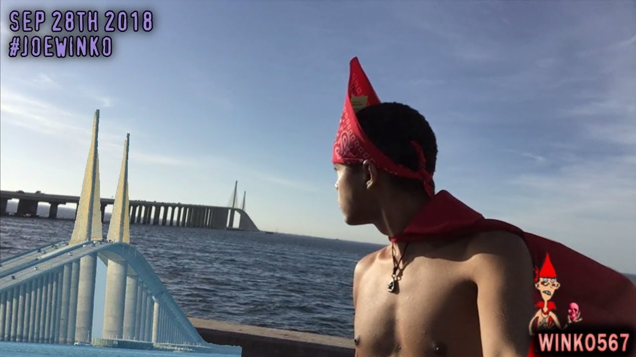 The Sad Skyway Bridge (2018) - Joe Winko