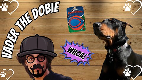 Doberman Meets the ChuckIt Rope Fetch (Part 1 of 5) – Pure Toy Joy!