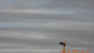 06.May.2025 (1915 to 2045) NEUK - Geoengineering Footage - Vid. 8 (of 70GB)