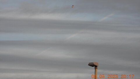 06.May.2025 (1915 to 2045) NEUK - Geoengineering Footage - Vid. 8 (of 70GB)
