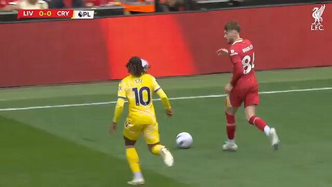 Highlights