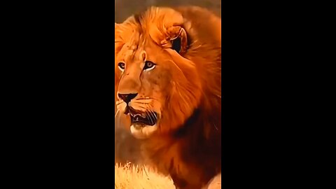 #foryoupage#viralvideo