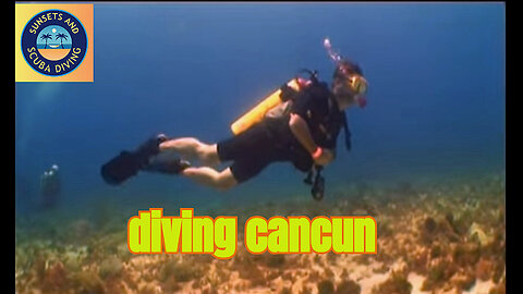 Scuba Diving at Manchones Grande Reef, Cancun | Angelfish & Coral Reef Beauty 🌊🐠