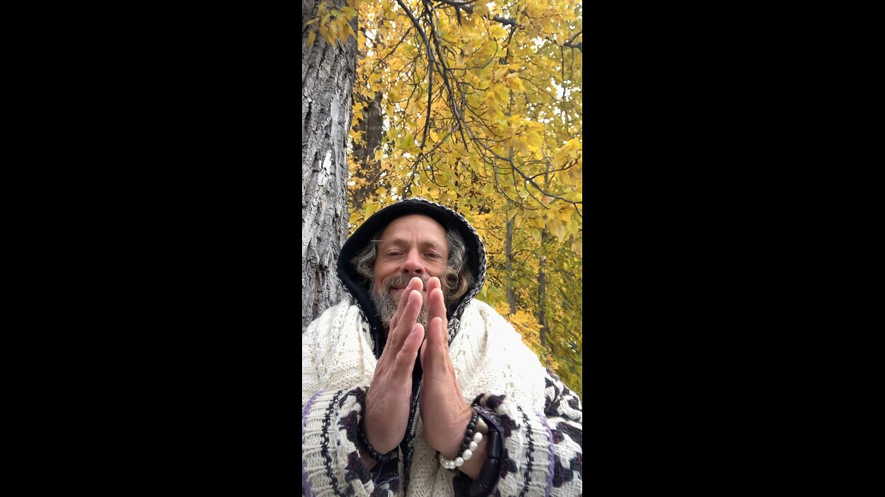 Bodhisattva On Rumble Golden Embryo For A Golden Age Is Challenging AI To Global Debate!