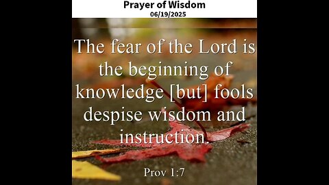 Prayer of Wisdom #youtubeshorts #grace #jesus #mercy #faith #fyp #trust #blessed #wisdom #love #joy