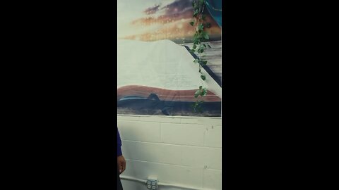 🦃 “No todo lo que celebras te pertenece: abre los ojos #thanksgiving