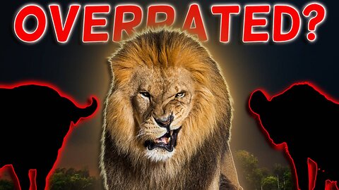 Three Animals That Can Beat A Lion In A Fight!