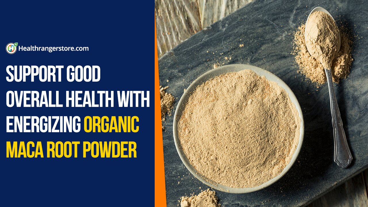 Support good overall health with energizing Organic Maca Root Powder