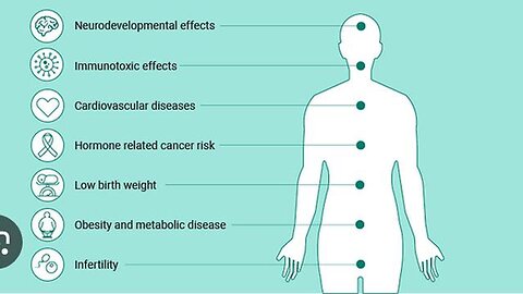 "Unveiling the Hidden Dangers of Bisphenol A (BPA) to Human Health"