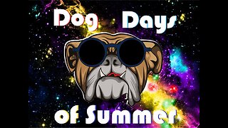 Dog Days of Summer
