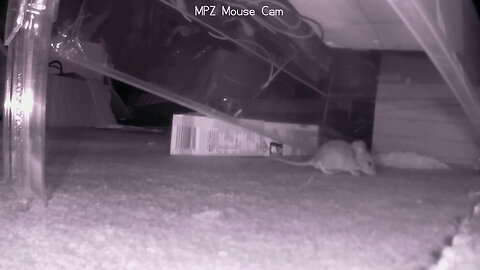 MacPCZone Infra Red Mousetrap Solenoid Edition Catches It's First Mouse