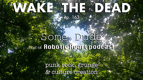 WTD ep.163 Some Dude 'punk rock, grunge & culture creation'