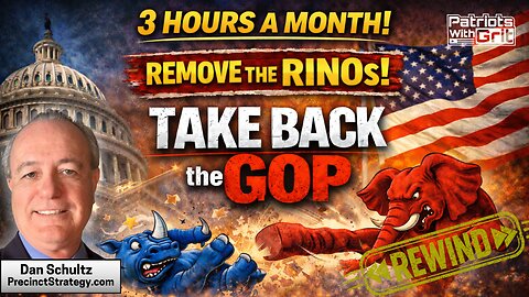 How You Can Remove the RInos and Take Back the GOP With Only Three Hours Per Month | Dan Schultz